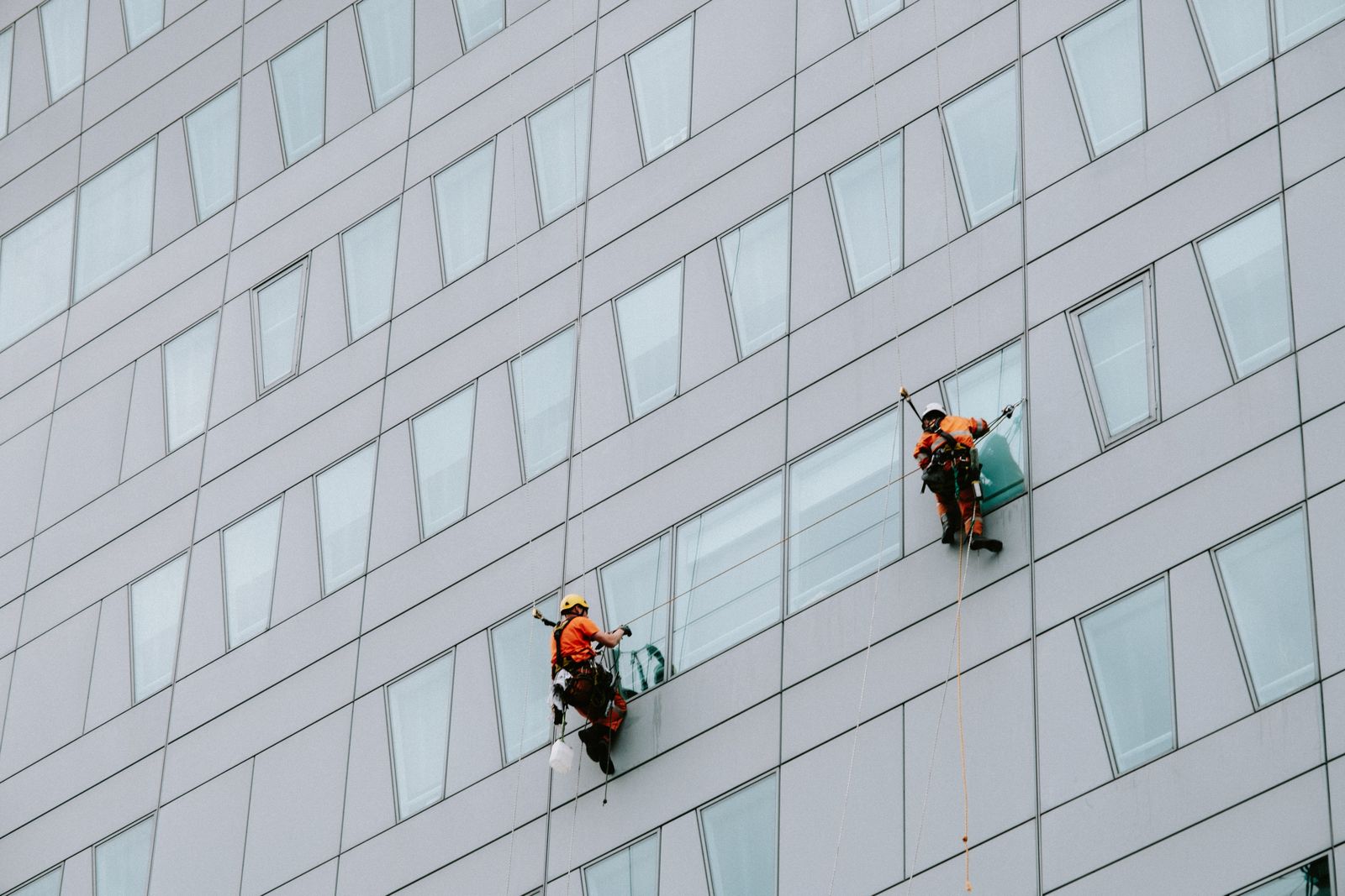 Two rope-access technicians cleaning windows on a high-rise building